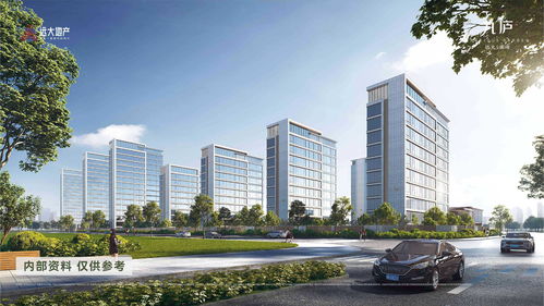 远大九庐 合肥人居新标杆，引领高端住宅新风尚